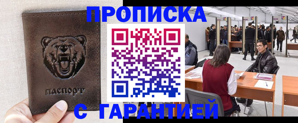 временная регистрация поиск в Курчалом